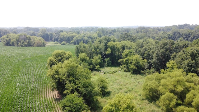 20664 Allen Rd, Manchester, MI 48158 - photo 59