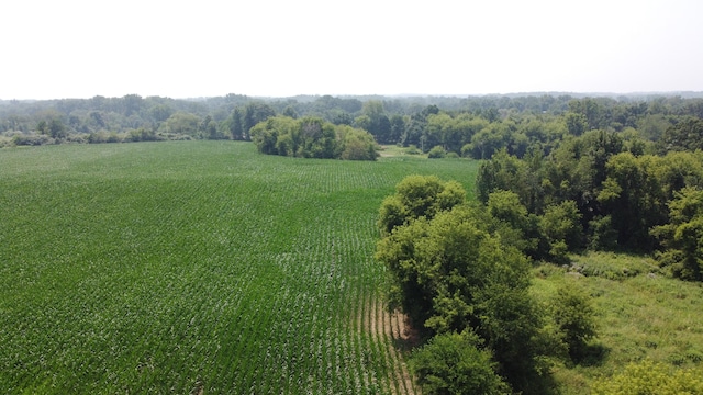 20664 Allen Rd, Manchester, MI 48158 - photo 60