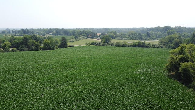 20664 Allen Rd, Manchester, MI 48158 - photo 62