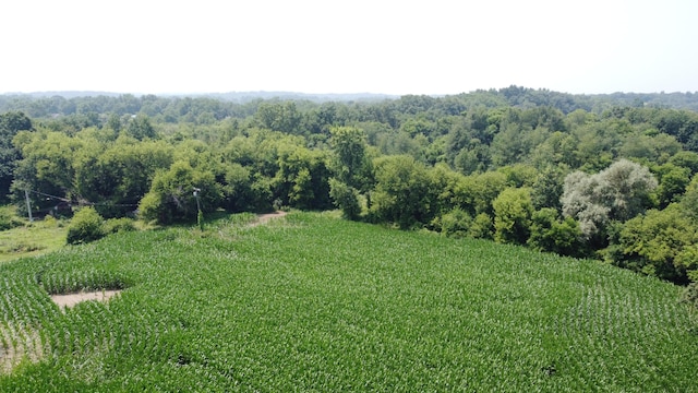 20664 Allen Rd, Manchester, MI 48158 - photo 63
