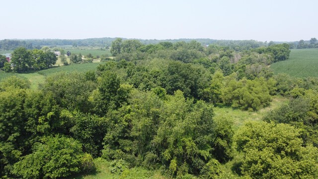 20664 Allen Rd, Manchester, MI 48158 - photo 64