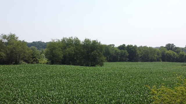 20664 Allen Rd, Manchester, MI 48158 - photo 67