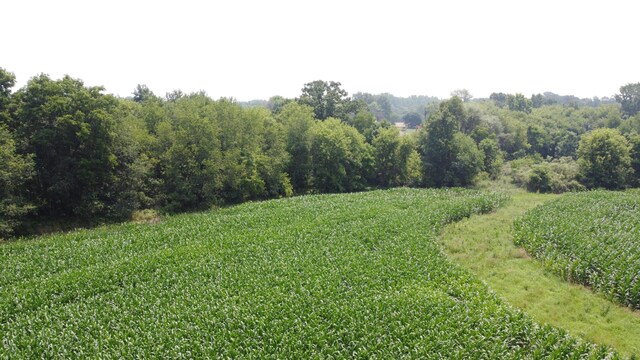 20664 Allen Rd, Manchester, MI 48158 - photo 69