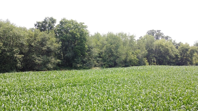 20664 Allen Rd, Manchester, MI 48158 - photo 78