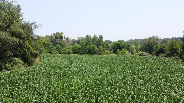 20664 Allen Rd, Manchester, MI 48158 - photo 79