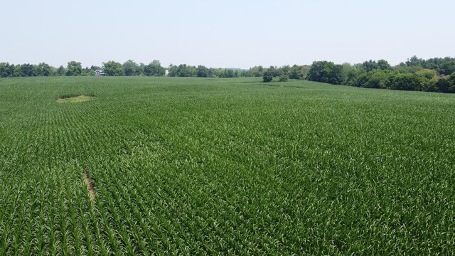 20664 Allen Rd, Manchester, MI 48158 - photo 80