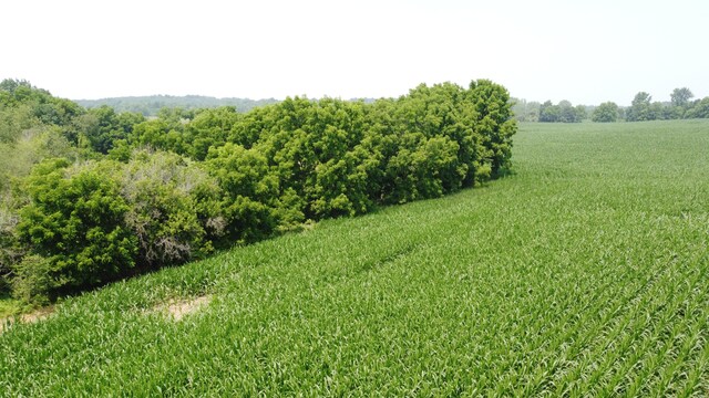 20664 Allen Rd, Manchester, MI 48158 - photo 82