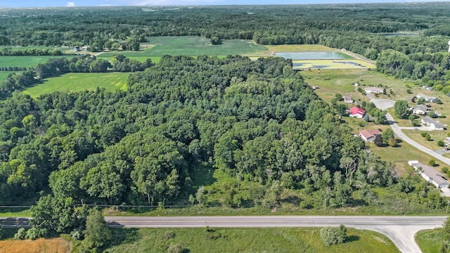 V/L9.94A W Sidney Rd, Sidney, MI 48885 - photo 3