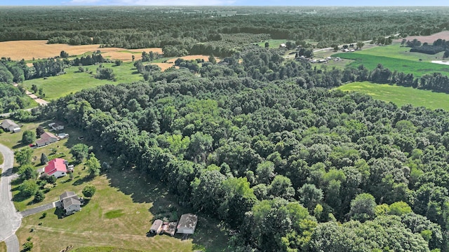 V/L9.94A W Sidney Rd, Sidney, MI 48885 - photo 5