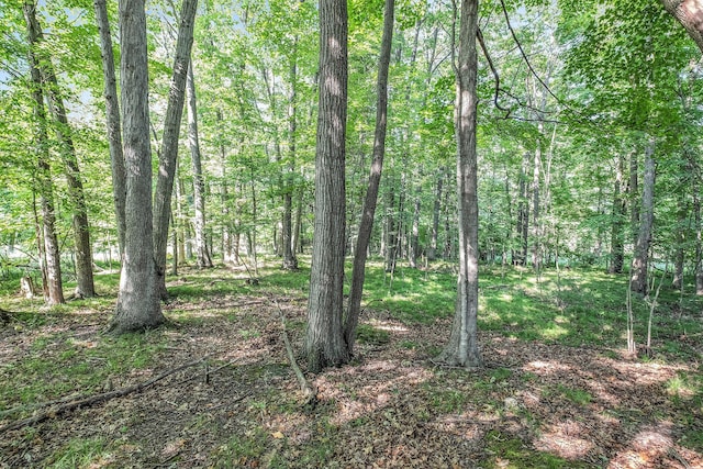 V/L9.94A W Sidney Rd, Sidney, MI 48885 - photo 6