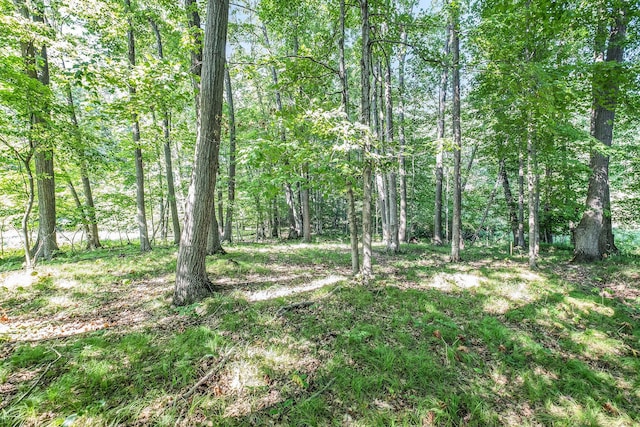 V/L9.94A W Sidney Rd, Sidney, MI 48885 - photo 8