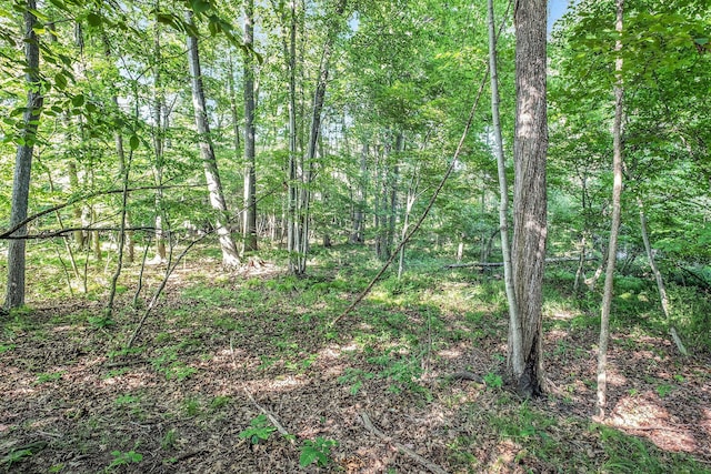 V/L9.94A W Sidney Rd, Sidney, MI 48885 - photo 9