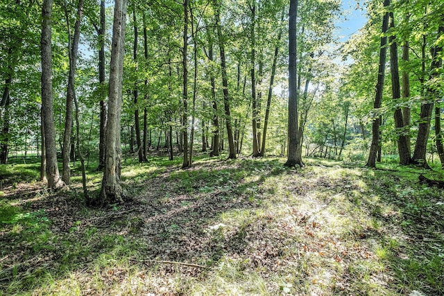 V/L9.94A W Sidney Rd, Sidney, MI 48885 - photo 11