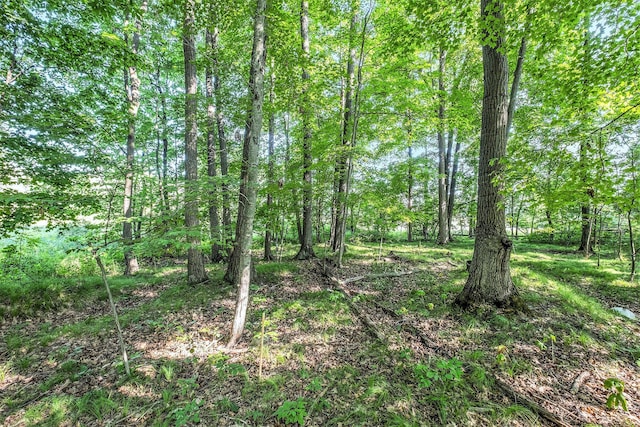 V/L9.94A W Sidney Rd, Sidney, MI 48885 - photo 12