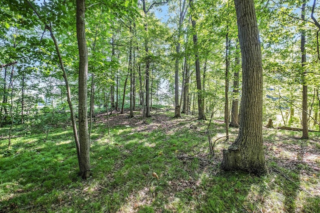 V/L9.94A W Sidney Rd, Sidney, MI 48885 - photo 15