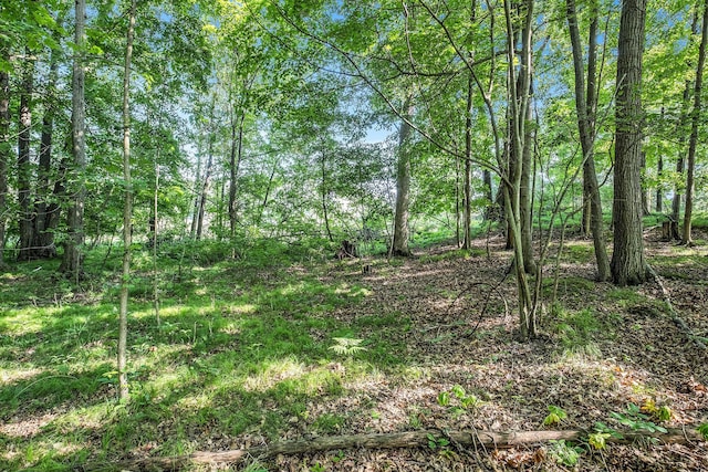 V/L9.94A W Sidney Rd, Sidney, MI 48885 - photo 18