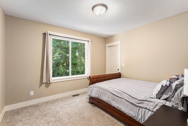 3469 Oak Branch Ct, Allegan, MI 49010 - photo 7