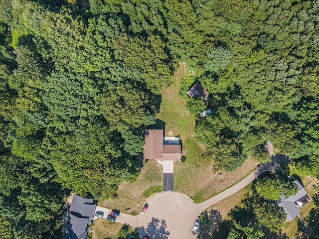 3469 Oak Branch Ct, Allegan, MI 49010 - photo 19