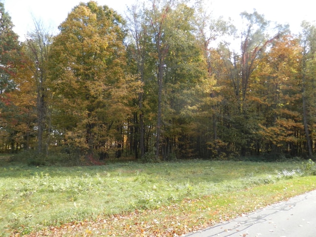 21 Harlan Dr, Watervliet, MI 49098 - photo 4