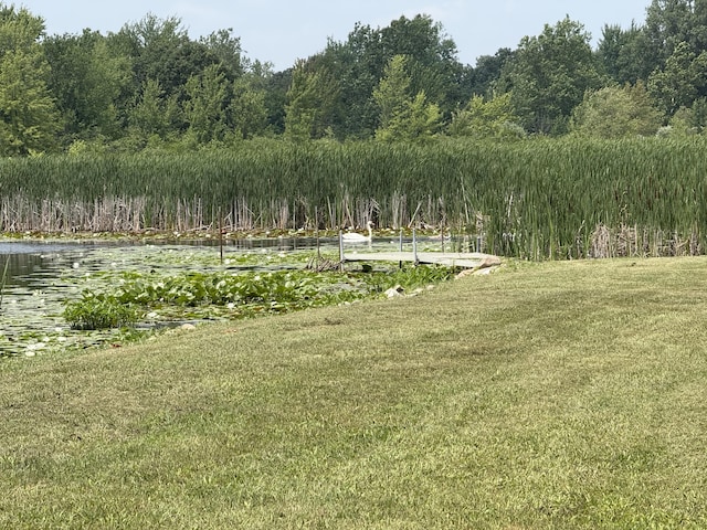 -- Leaf Lane, Coldwater, MI 49036