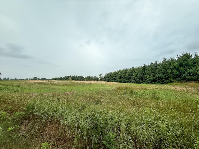 PARCELB N Stephens Rd, Custer, MI 49405 - photo 10
