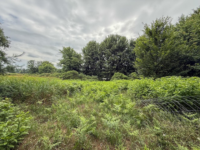 PARCELB N Stephens Rd, Custer, MI 49405 - photo 11