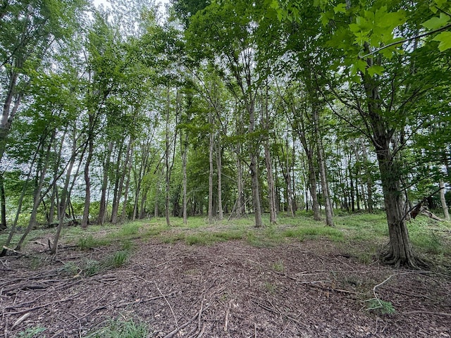 PARCELB N Stephens Rd, Custer, MI 49405 - photo 12