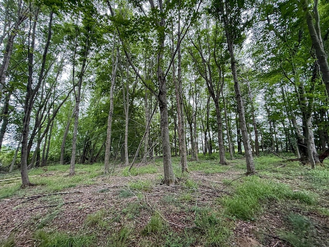 PARCELB N Stephens Rd, Custer, MI 49405 - photo 13