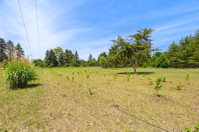 3703 S Carmean Rd, Thompsonville, MI 49683 - photo 40
