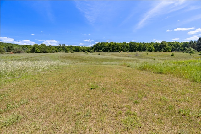 3703 S Carmean Rd, Thompsonville, MI 49683 - photo 41