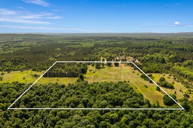 3703 S Carmean Rd, Thompsonville, MI 49683 - photo 4