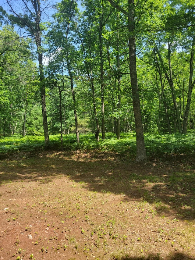 Star Acres Dr, Baldwin, MI 49304 - photo 1
