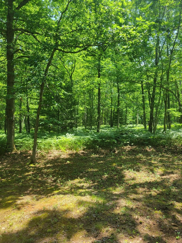 Star Acres Dr, Baldwin, MI 49304 - photo 8