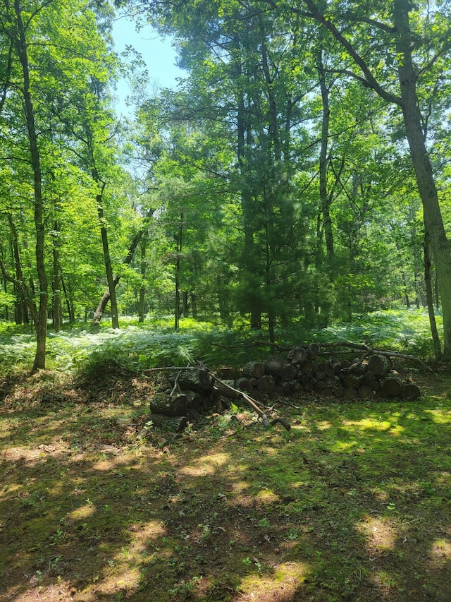 Star Acres Dr, Baldwin, MI 49304 - photo 10