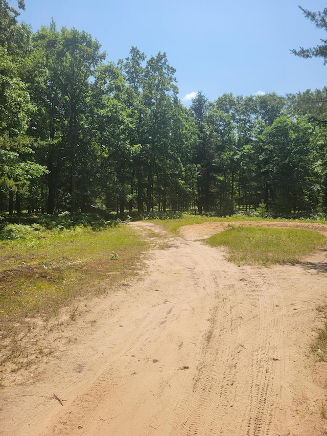 Star Acres Dr, Baldwin, MI 49304 - photo 6