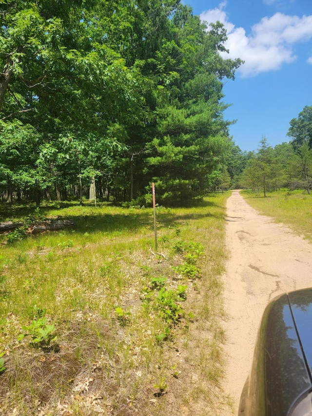 Star Acres Dr, Baldwin, MI 49304 - photo 7