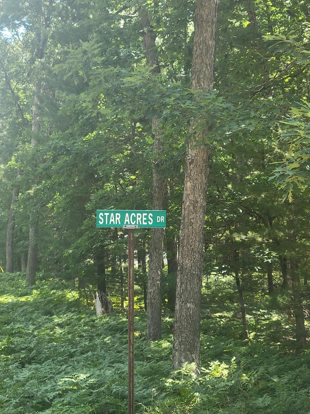 Star Acres Dr, Baldwin, MI 49304 - photo 3