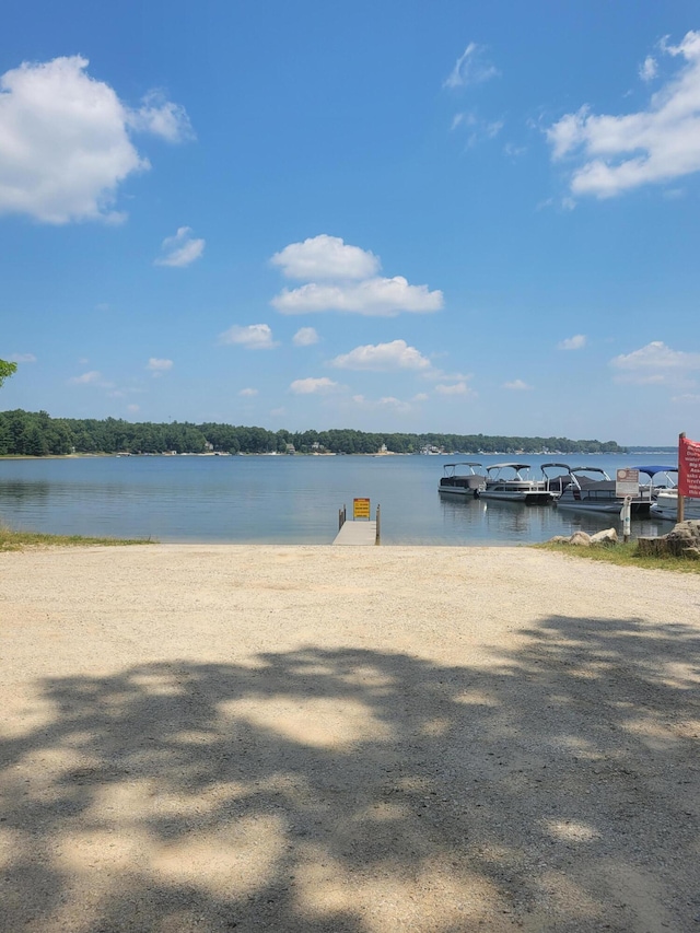 Star Acres Dr, Baldwin, MI 49304 - photo 11