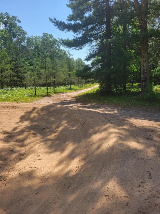 Star Acres Dr, Baldwin, MI 49304 - photo 5