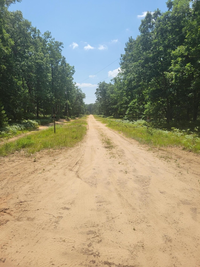 Star Acres Dr, Baldwin, MI 49304 - photo 4