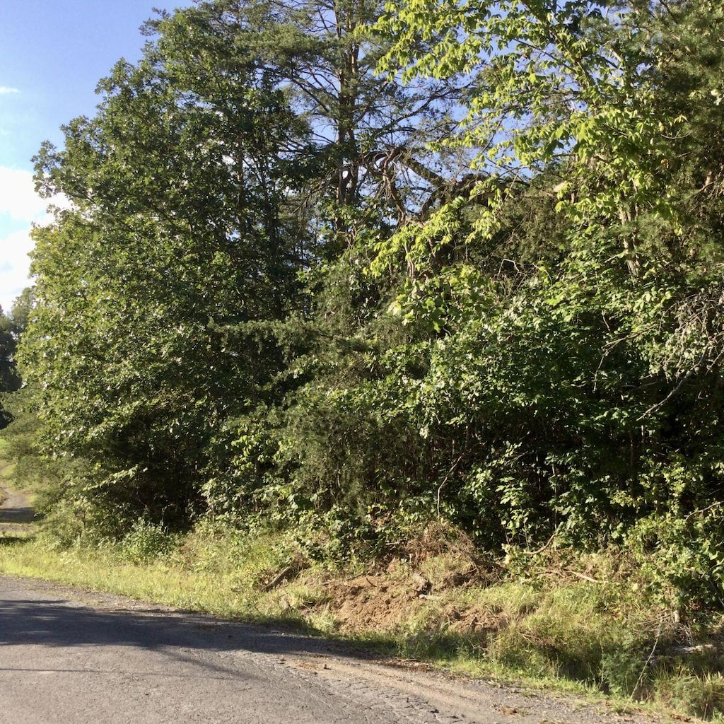 Pine Lake Rd, Battle Creek, MI 49014