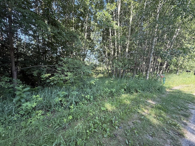 TBD W Royal Rd, Stanwood, MI 49346