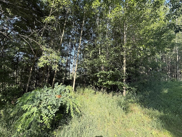 TBD W Royal Rd, Stanwood, MI 49346