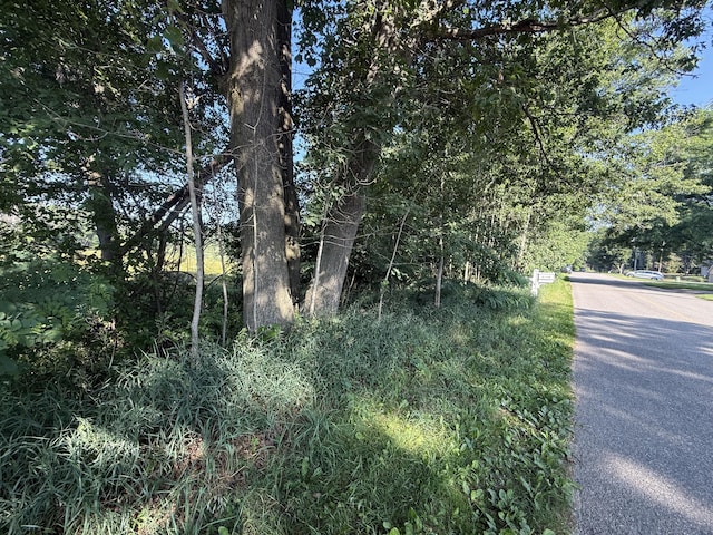 TBD W Royal Rd, Stanwood, MI 49346