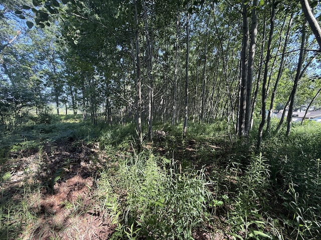 TBD W Royal Rd, Stanwood, MI 49346