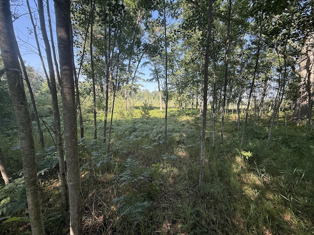 TBD W Royal Rd, Stanwood, MI 49346
