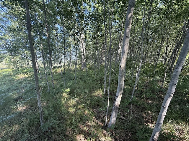 TBD W Royal Rd, Stanwood, MI 49346