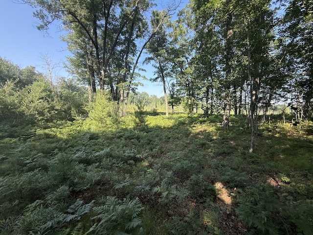 TBD W Royal Rd, Stanwood, MI 49346
