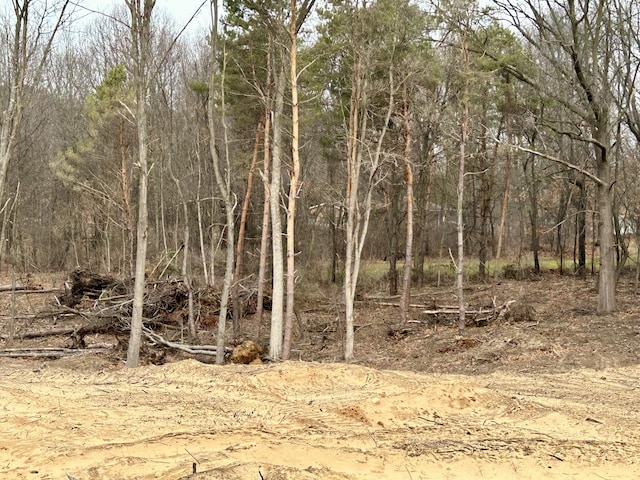 Bauman Rd, Battle Creek, MI 49017 - photo 3