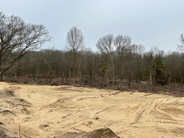Bauman Rd, Battle Creek, MI 49017 - photo 4